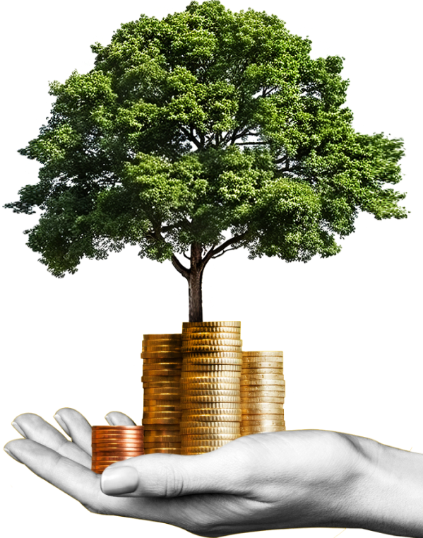 https://sajatutad.hu/wp-content/uploads/2024/10/inner_image_home_05_01.png